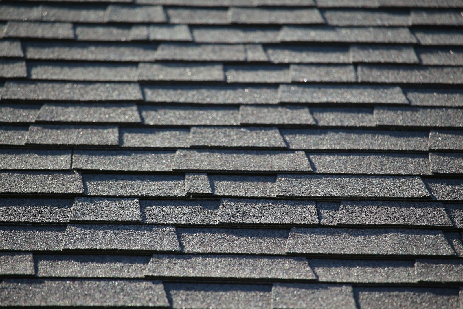 Architectural asphalt shingles on a residential roof.